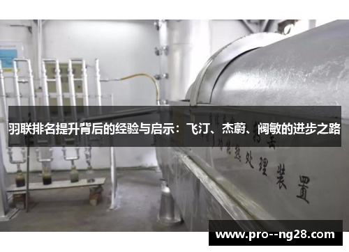 羽联排名提升背后的经验与启示：飞汀、杰蔚、阀敏的进步之路