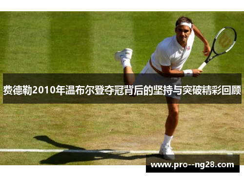 费德勒2010年温布尔登夺冠背后的坚持与突破精彩回顾