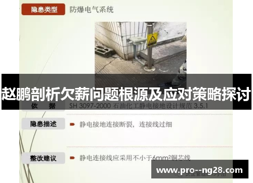 赵鹏剖析欠薪问题根源及应对策略探讨