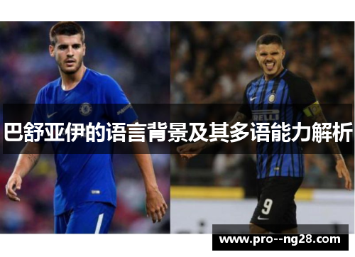 巴舒亚伊的语言背景及其多语能力解析