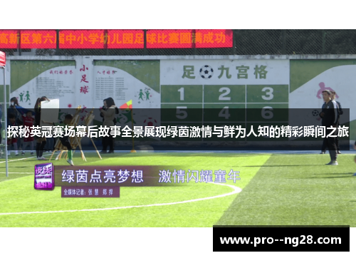 探秘英冠赛场幕后故事全景展现绿茵激情与鲜为人知的精彩瞬间之旅