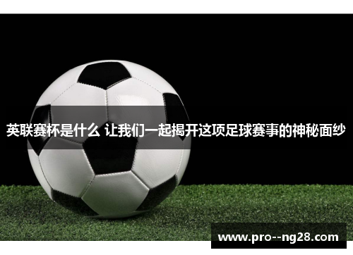 英联赛杯是什么 让我们一起揭开这项足球赛事的神秘面纱