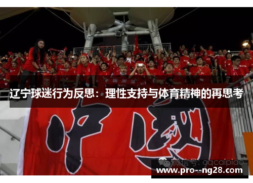 辽宁球迷行为反思：理性支持与体育精神的再思考