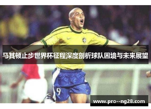 马其顿止步世界杯征程深度剖析球队困境与未来展望