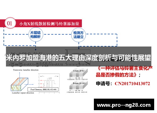 米内罗加盟海港的五大理由深度剖析与可能性展望 米内罗加盟海港的五大理由深度剖析与可能性展望