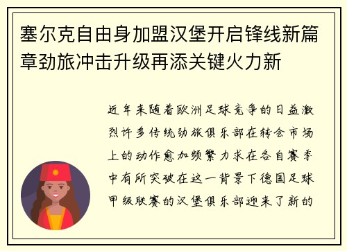 塞尔克自由身加盟汉堡开启锋线新篇章劲旅冲击升级再添关键火力新