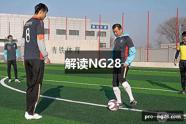 解读NG28